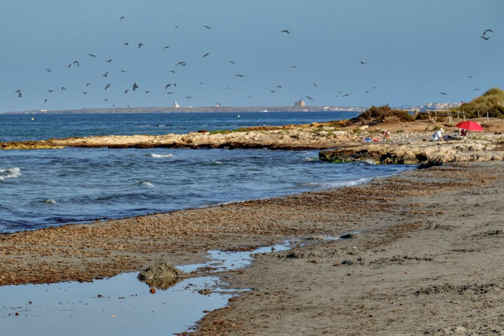 Guardamar del Segura – Playa Centro where nature meets the beautifull beach
