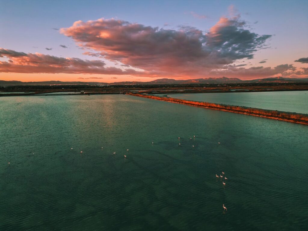 Santa Pola - Salinas de Santa Pola nature reserve